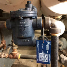 Load image into Gallery viewer, Steam Trap Sample Digital Sample Demo